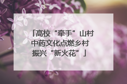 高校“牵手”山村 中药文化点燃乡村振兴“新火花”