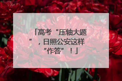 高考“压轴大题”，日照公安这样“作答”！