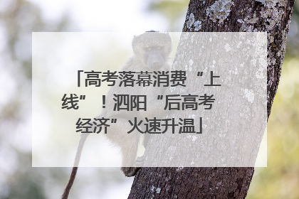 高考落幕消费“上线”！泗阳“后高考经济”火速升温