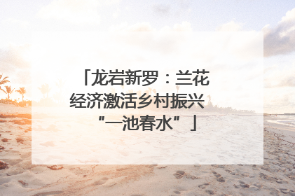 龙岩新罗：兰花经济激活乡村振兴“一池春水”