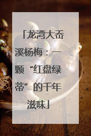 龙湾大岙溪杨梅：一颗“红盘绿蒂”的千年滋味