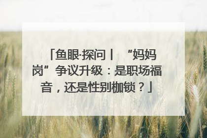 鱼眼·探问丨 “妈妈岗”争议升级：是职场福音，还是性别枷锁？