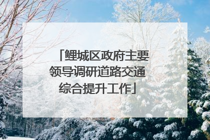 鲤城区政府主要领导调研道路交通综合提升工作
