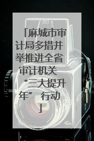 麻城市审计局多措并举推进全省审计机关 “三大提升年” 行动