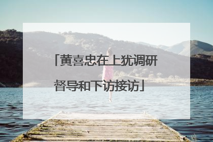 黄喜忠在上犹调研督导和下访接访