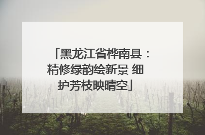 黑龙江省桦南县：精修绿韵绘新景 细护芳枝映晴空