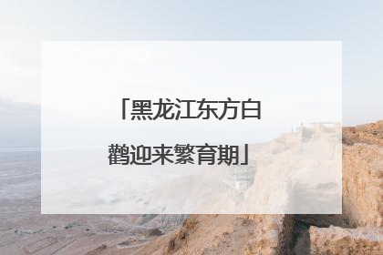 黑龙江东方白鹳迎来繁育期