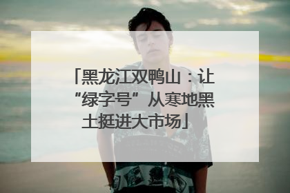 黑龙江双鸭山：让“绿字号”从寒地黑土挺进大市场