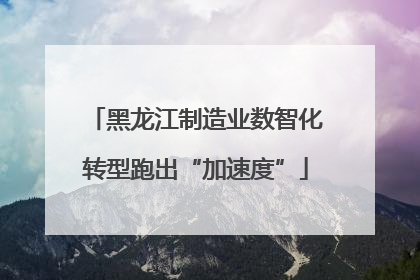 黑龙江制造业数智化转型跑出“加速度”