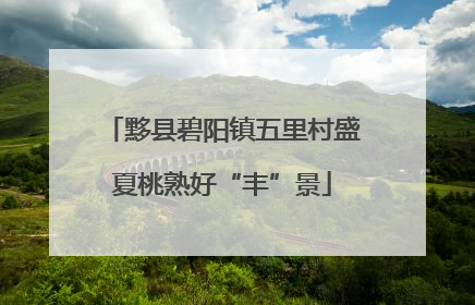 黟县碧阳镇五里村盛夏桃熟好“丰”景