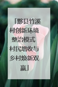 黟县竹溪村创新环境整治模式 村民增收与乡村焕新双赢