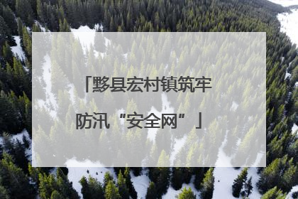 黟县宏村镇筑牢防汛“安全网”