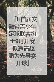 ﻿首届安徽省青少年足球联赛将于9月开赛 拟邀请赵鹏为先导赛开球