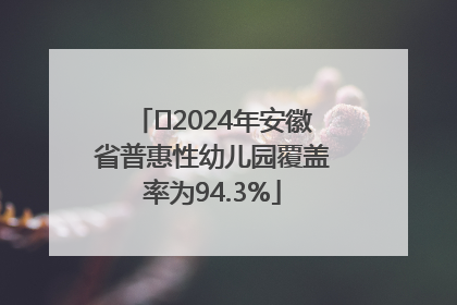﻿2024年安徽省普惠性幼儿园覆盖率为94.3%