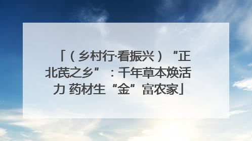 （乡村行·看振兴）“正北芪之乡”：千年草本焕活力 药材生“金”富农家