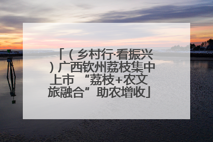 (乡村行·看振兴)广西钦州荔枝集中上市 “荔枝+农文旅融合”助农增收