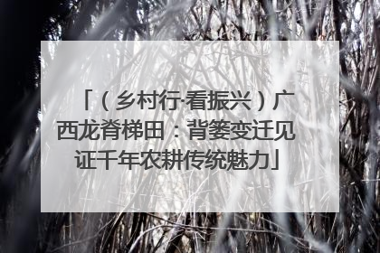 （乡村行·看振兴）广西龙脊梯田：背篓变迁见证千年农耕传统魅力