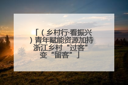（乡村行·看振兴）青年赋能资源加持 浙江乡村“过客”变“留客”