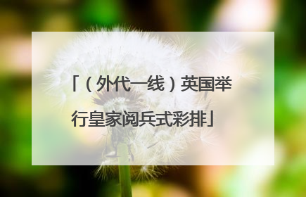 （外代一线）英国举行皇家阅兵式彩排
