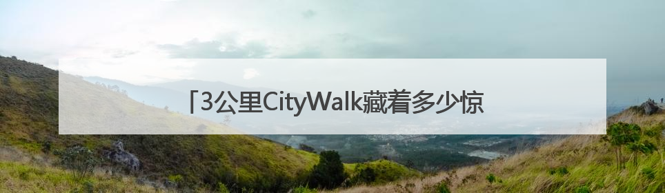 3公里CityWalk藏着多少惊喜？沪疆童心手拉手，“益起走”