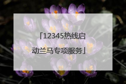 12345热线启动兰马专项服务