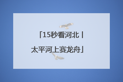 15秒看河北丨太平河上赛龙舟