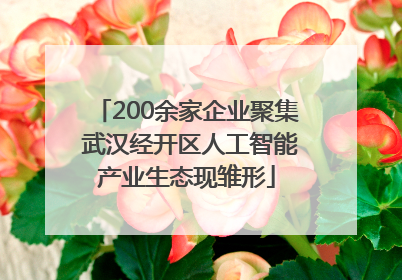 200余家企业聚集 武汉经开区人工智能产业生态现雏形
