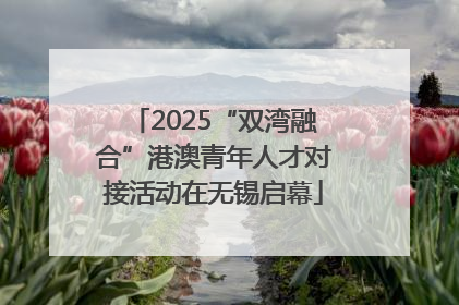 2025“双湾融合”港澳青年人才对接活动在无锡启幕
