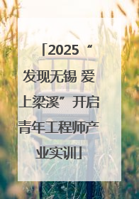 2025“发现无锡 爱上梁溪”开启青年工程师产业实训