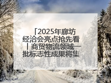 2025年廊坊经洽会亮点抢先看丨商贸物流领域一批标志性成果将集中发布