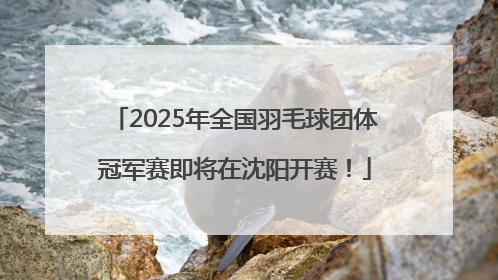 2025年全国羽毛球团体冠军赛即将在沈阳开赛！
