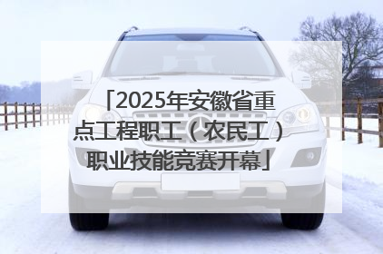 2025年安徽省重点工程职工（农民工）职业技能竞赛开幕