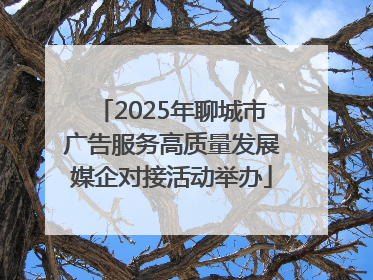2025年聊城市广告服务高质量发展媒企对接活动举办