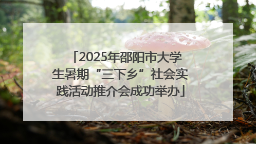2025年邵阳市大学生暑期“三下乡”社会实践活动推介会成功举办