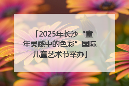 2025年长沙“童年灵感中的色彩”国际儿童艺术节举办