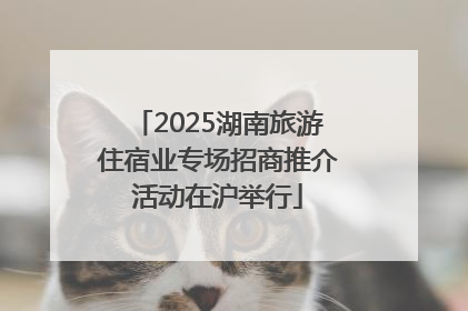 2025湖南旅游住宿业专场招商推介活动在沪举行