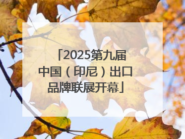 2025第九届中国（印尼）出口品牌联展开幕