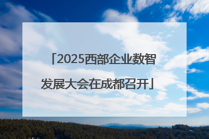 2025西部企业数智发展大会在成都召开
