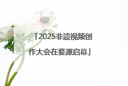 2025非遗视频创作大会在婺源启幕