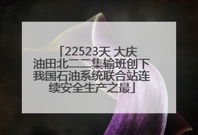 22523天 大庆油田北二二集输班创下我国石油系统联合站连续安全生产之最