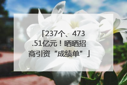 237个、473.51亿元！晒晒招商引资“成绩单”