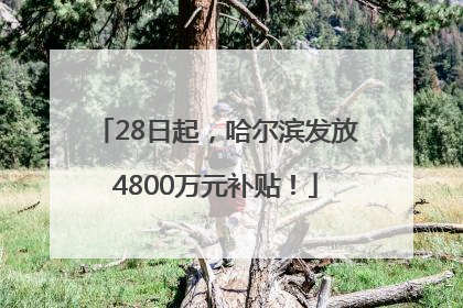 28日起，哈尔滨发放4800万元补贴！