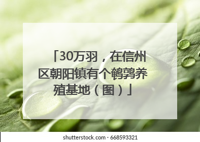 30万羽，在信州区朝阳镇有个鹌鹑养殖基地（图）