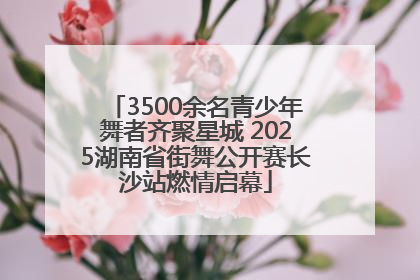 3500余名青少年舞者齐聚星城 2025湖南省街舞公开赛长沙站燃情启幕