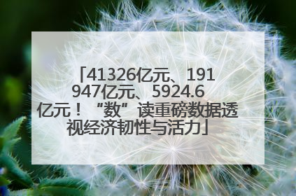 41326亿元、191947亿元、5924.6亿元！“数”读重磅数据透视经济韧性与活力