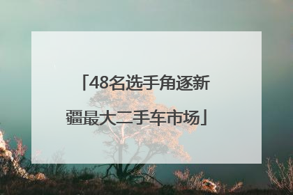 48名选手角逐新疆最大二手车市场