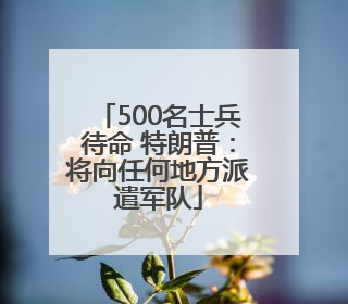 500名士兵待命 特朗普：将向任何地方派遣军队
