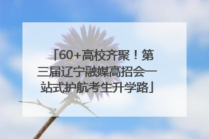 60+高校齐聚！第三届辽宁融媒高招会一站式护航考生升学路