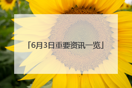 6月3日重要资讯一览