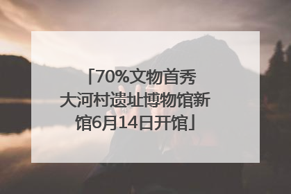 70%文物首秀 大河村遗址博物馆新馆6月14日开馆